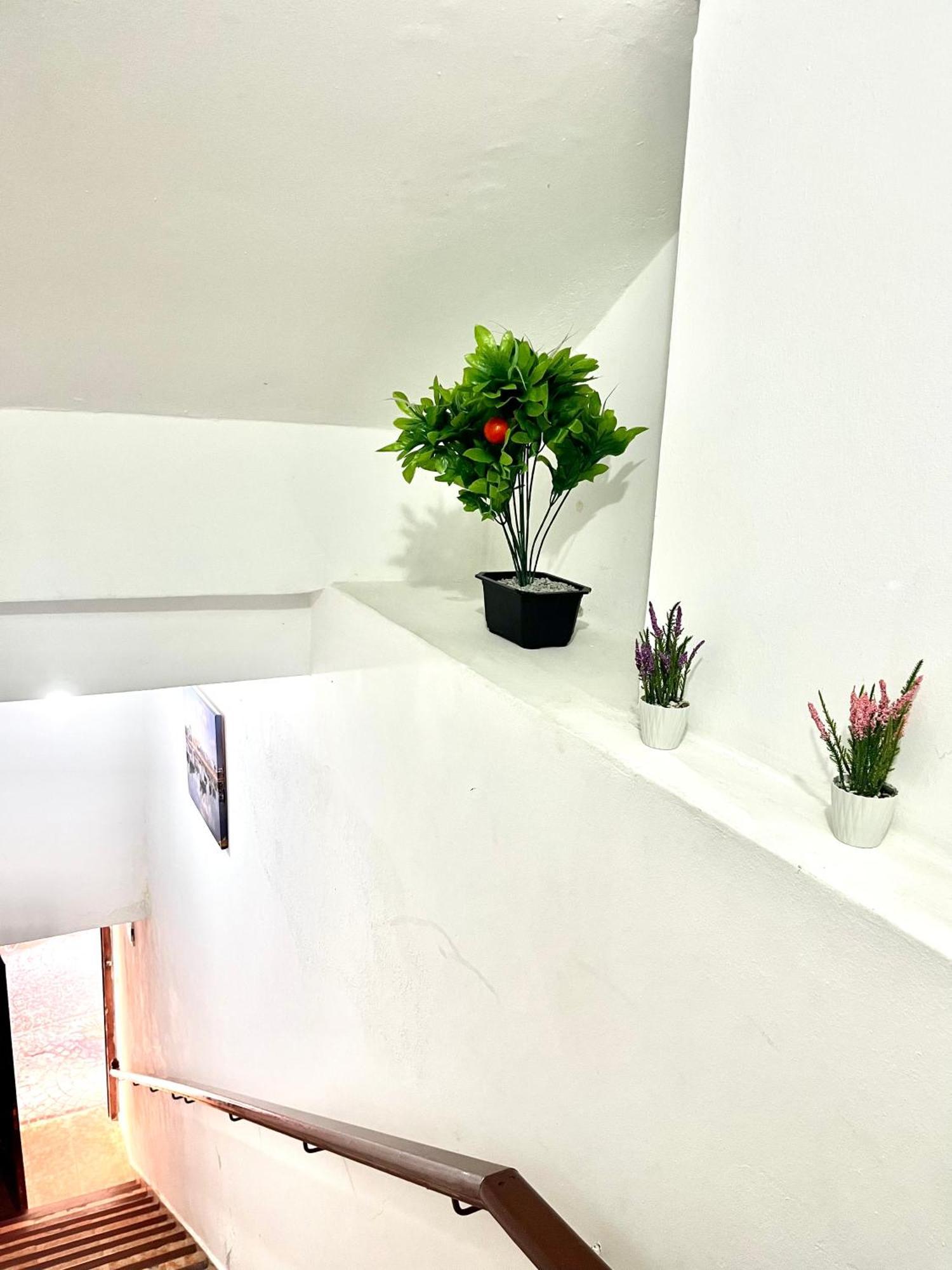 艾西拉Soleado Apartamento Al Lado De La Preciosa Medina , A 3 Minutos De La Playa Andando II公寓 外观 照片